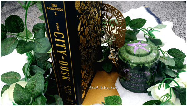 Book Review: THE CITY OF DUSK by TARA&nbsp;SIM